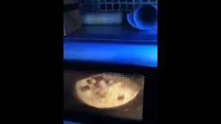 Jack ass cooking fails