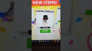 OMG opening a premium gorilla box in adopt me on Roblox