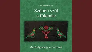 A kalapom, a kalapom / Zavaros a tisza / Már minálunk megocsult a pálinka / Sebes csárdás...