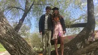 Tree diversity