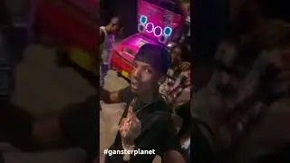 #gansterplanet