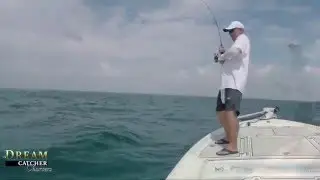 Mutton Snapper In The Shallows Off Key West