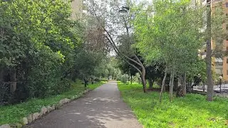 Ain El Remmaneh Garden |  Lebanon | 2026-01-23