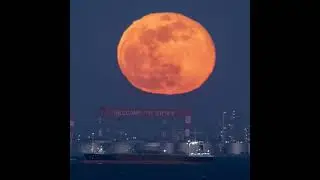 Moonrise