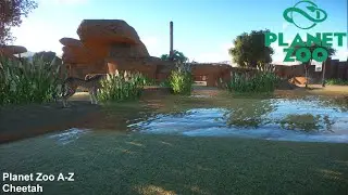 Basic Cheetah Habitat with natural barriers - Planet Zoo A-Z Speedbuilds