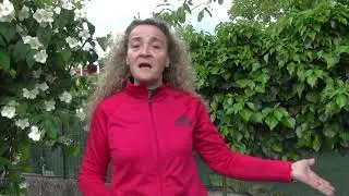 Che tipo di attivit&agrave; fare appena ti arriva un cucciolo?