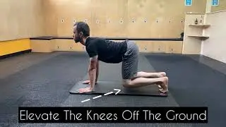 Knees Elevated Cat Cow