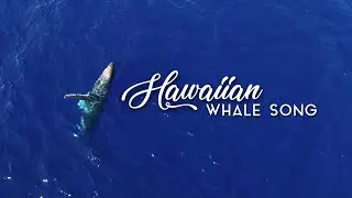 Hawaiian Humpback Whale Song 2020