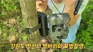 강원도 정선 범바위 표범촬영🏕 산간오지의 버려진 옛집과 야생동물들