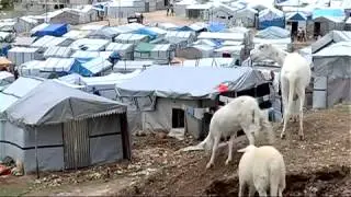 THW Reportage - Die humanit&auml;re Hilfe des THW in Haiti