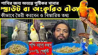 পাখির জন্য স্প্রাউট কতটা গুরুত্বপূর্ণ / স্প্রাউট কিভাবে তৈরি করবেন /sprout for birds / bird food