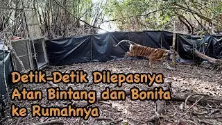 Detik-Detik Dilepasnya Atan Bintang dan Bonita ke Rumahnya.