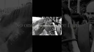Shergar😔 #shergar #missing #horse #equestrian #raceing #kidnapping #mystery