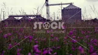 Texas-Flowers and Cylos-HD-OVERLAY_2