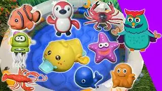 Sea Animals for Kids | Learn Ocean Creature Names & Facts | Educational Toys for Toddlers