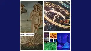 Water Wonders