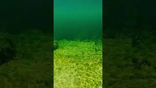 Poe springs and Rum Island