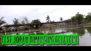 Test Joran Dimancing Galatama