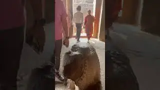 Ellora caves 😊🙏 beautiful, Shiva Lingaa and Nandi Gay ☺️🙏 Aurangabad part 14