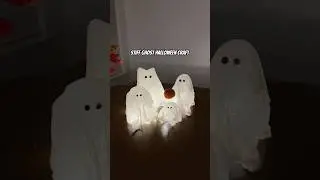 These stuff cheesecloth ghosts are so fun and customizable 😻👻🫶🏻 #craft #halloween
