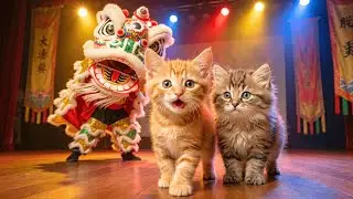 Minka & Pippo&rsquo;s First Lunar New Year in Chinatown 🧧🐾 | An Unforgettable Memory: Lion Dance