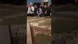 тулки Адила