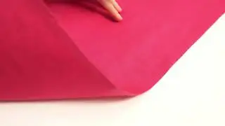 Wild eri silk twill, raspberry