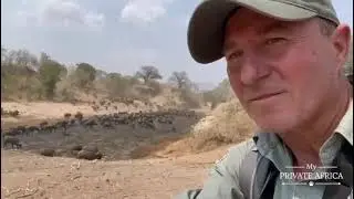 My Private Africa with Nic Polenakis