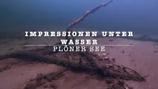 Tauchen in Schleswig Holstein 3. Impressionen unter Wasser