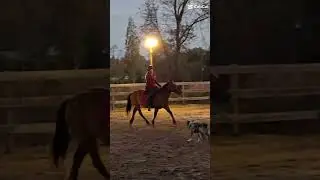 I love her!  #horsebackadventures #horsegirl #pony #horsebackadventure