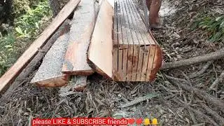 hello guys welcome to my wood cutting vlogs, how to cut wood by chainsaw ms382. big tree cutting🙏🔔👍️