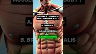 TOPIC :- MUSCLES 💪🏼 #education #knowledge #sharpbrains #anatomy #NEET #medicos #muscles