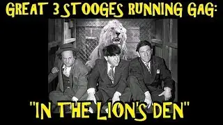 Great 3 Stooges Running Gag: 