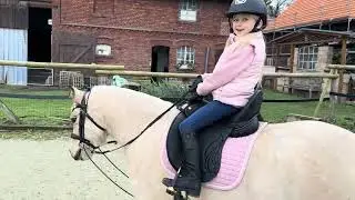 Toto‘s neuer Sattel von Equiveron! Jaeger Sattelergonomie