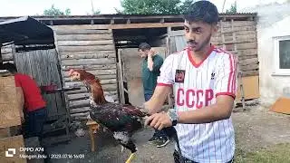 bugün bolu mengende efe kardesimizin misari olduk ilgi alaka için çok teşekkür ediyorum