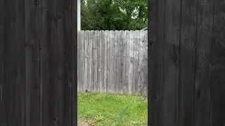 wood fence transformation