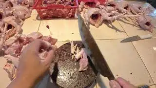Asmr Memotong Ayam Cepat dan Efisien | Chicken Cutting Skills