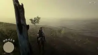 Perfecting my trips to guarma/out of bounds in story mode.