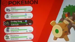 Would you win against my Pokémon team Part Sword