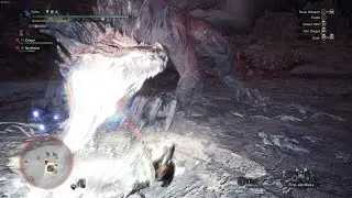 Safi'jiva siege is so epic (MH World: Iceborne)