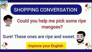 shopping conversation |conversation dialogue covering various scenarios related to shopping