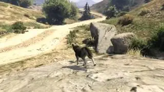 Новые фичи в GTA5 #6:Цветки Лофофоры 6-й цветок(лайка).