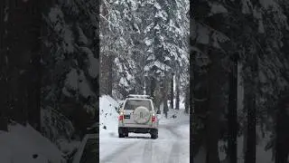 #Mohdand Lake Live #Snowfall ❄️ #Jeep Adventure with #Bacha Tours & Travels