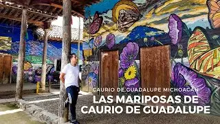 LAS MARIPOSAS DE CAURIO DE GUADALUPE MICHOACAN / JUANE HALCÓN