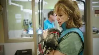 How Your Support Saves Lives at the Palm Springs Animal Shelter