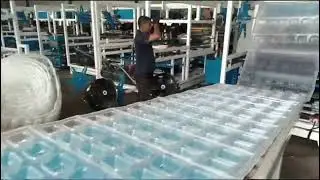 Plastic PP Food Box Container Making Machine