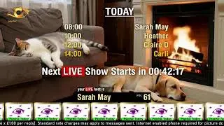 Psychic Today Live Stream