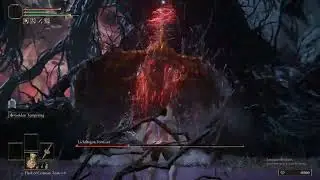 Lichdragon Fortissax | RL1 | No Hit | Head Only