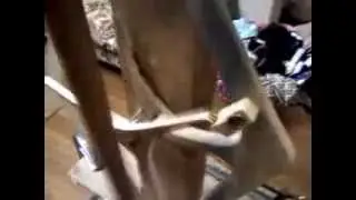 Dual three leg gravity escapement