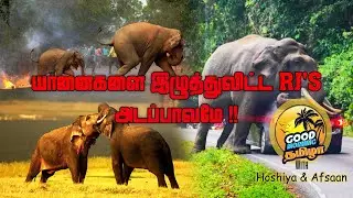 யானைகளை இழுத்து விட்ட RJ's | Hoshiya & Afsaan | Tamil FM